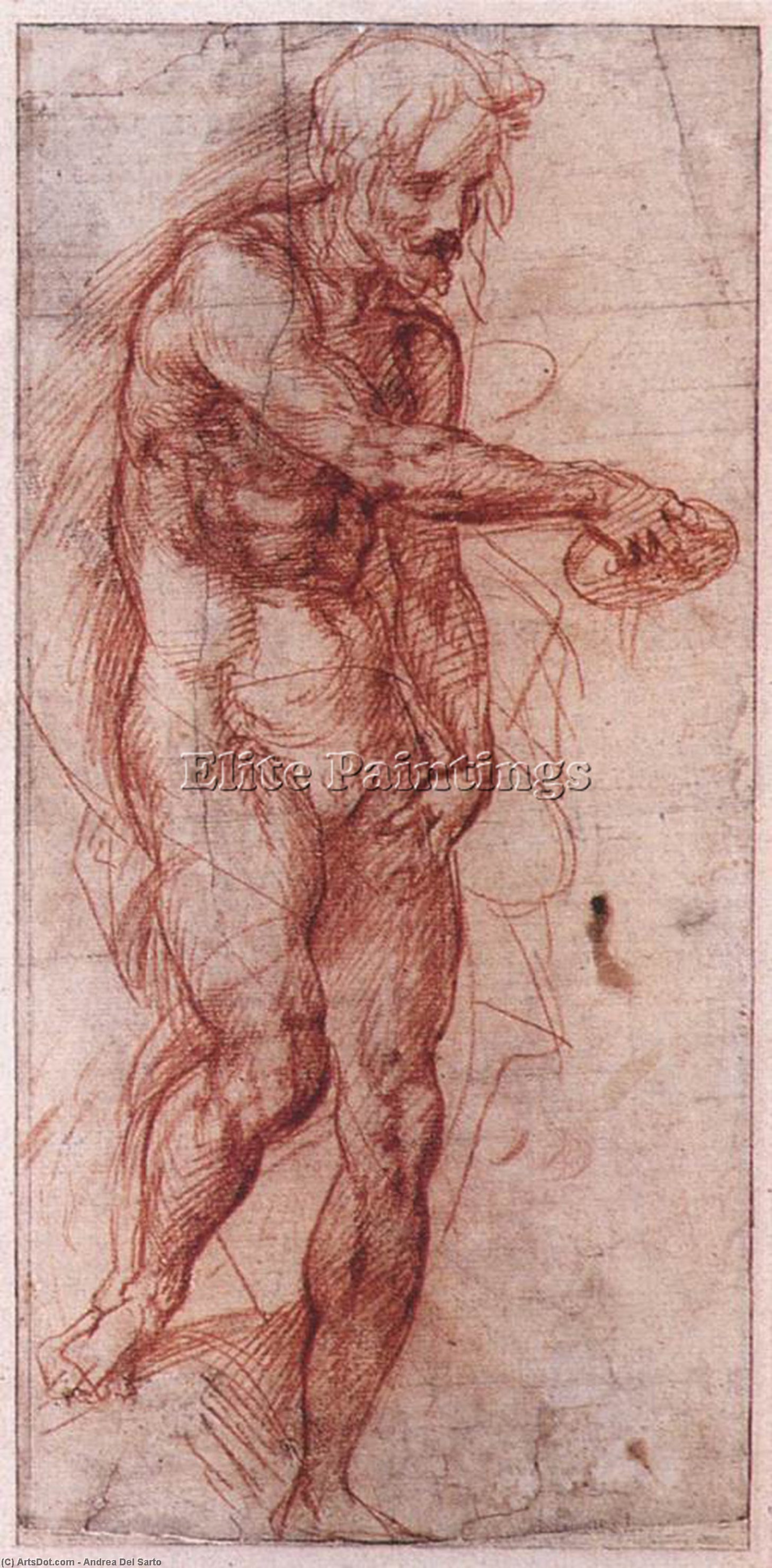 Wikioo.org - The Encyclopedia of Fine Arts - Painting, Artwork by Andrea Del Sarto - Study for the Baptism of the People