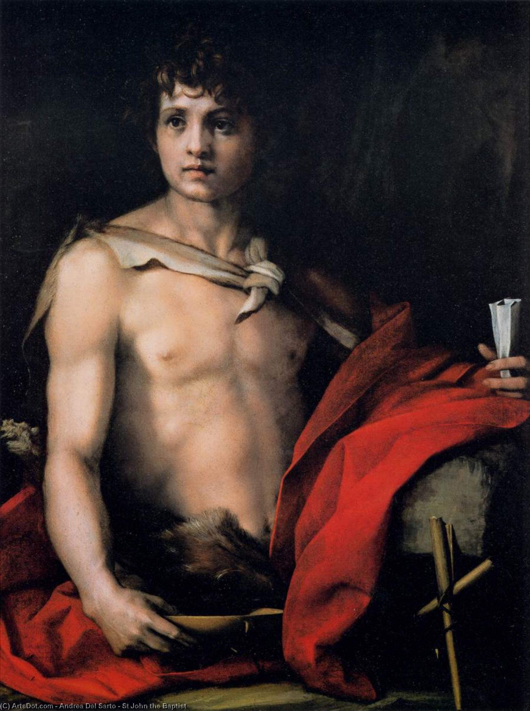 Wikioo.org - The Encyclopedia of Fine Arts - Painting, Artwork by Andrea Del Sarto - St John the Baptist