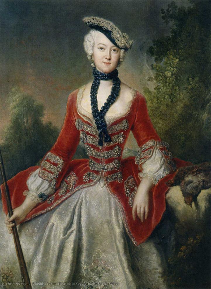 Wikioo.org - The Encyclopedia of Fine Arts - Painting, Artwork by Antoine Pesne - Portrait of Sophie Marie Gräfin Voss