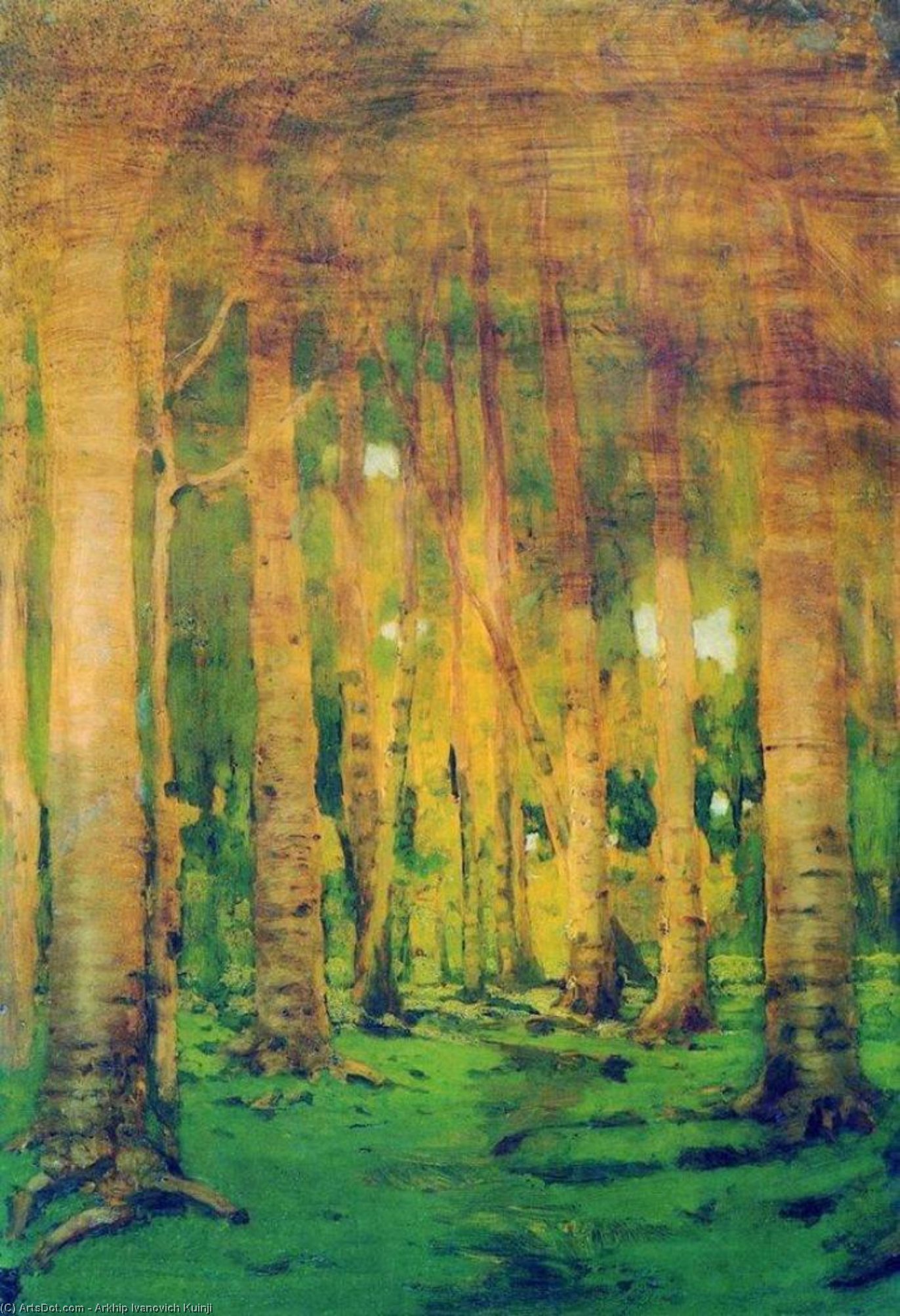 Wikioo.org - The Encyclopedia of Fine Arts - Painting, Artwork by Arkhip Ivanovich Kuinji - A Birch Grove. Spots of sunlight