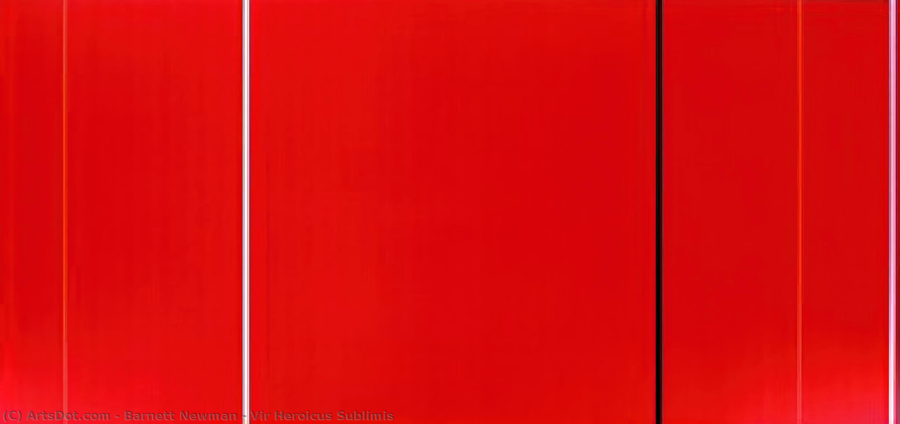 Wikioo.org – La Enciclopedia de las Bellas Artes - Pintura, Obras de arte de Barnett Newman - vir heroicus sublimis