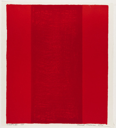 Wikioo.org - The Encyclopedia of Fine Arts - Painting, Artwork by Barnett Newman - Canto XV