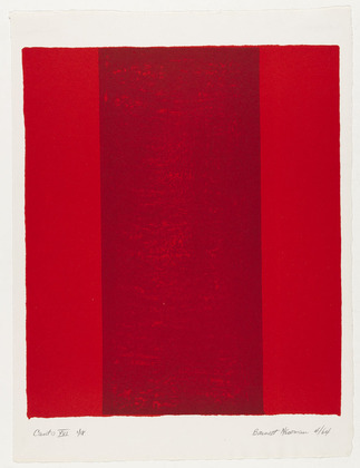 Wikioo.org - The Encyclopedia of Fine Arts - Painting, Artwork by Barnett Newman - Canto XVI