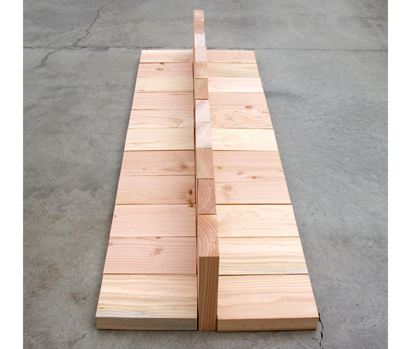 Wikioo.org - The Encyclopedia of Fine Arts - Painting, Artwork by Carl Andre - Douglas Fir Fin