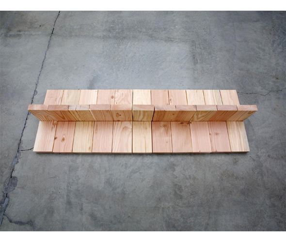 Wikioo.org - The Encyclopedia of Fine Arts - Painting, Artwork by Carl Andre - Douglas Fir Fin (view 2)
