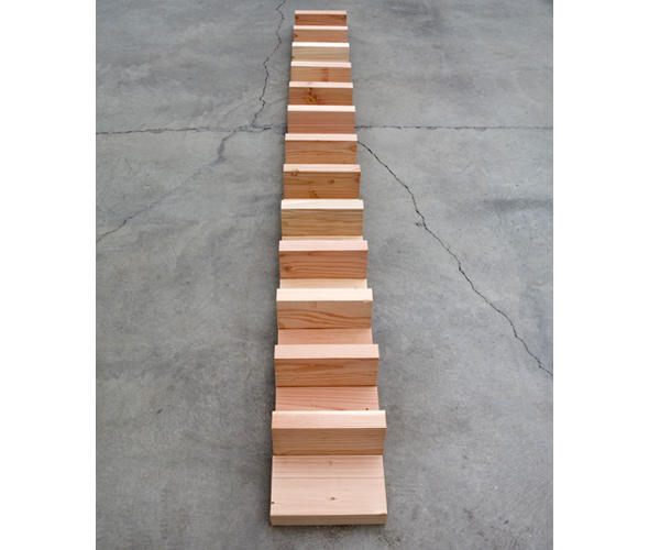 Wikioo.org - The Encyclopedia of Fine Arts - Painting, Artwork by Carl Andre - Douglas Fir Rank (view 2)