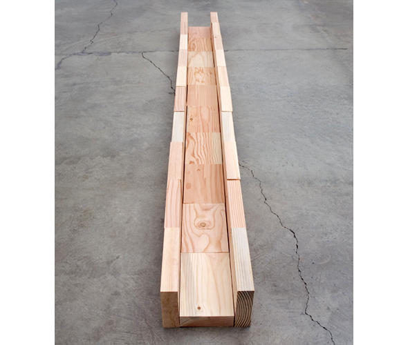 Wikioo.org - The Encyclopedia of Fine Arts - Painting, Artwork by Carl Andre - Douglas Fir Trough