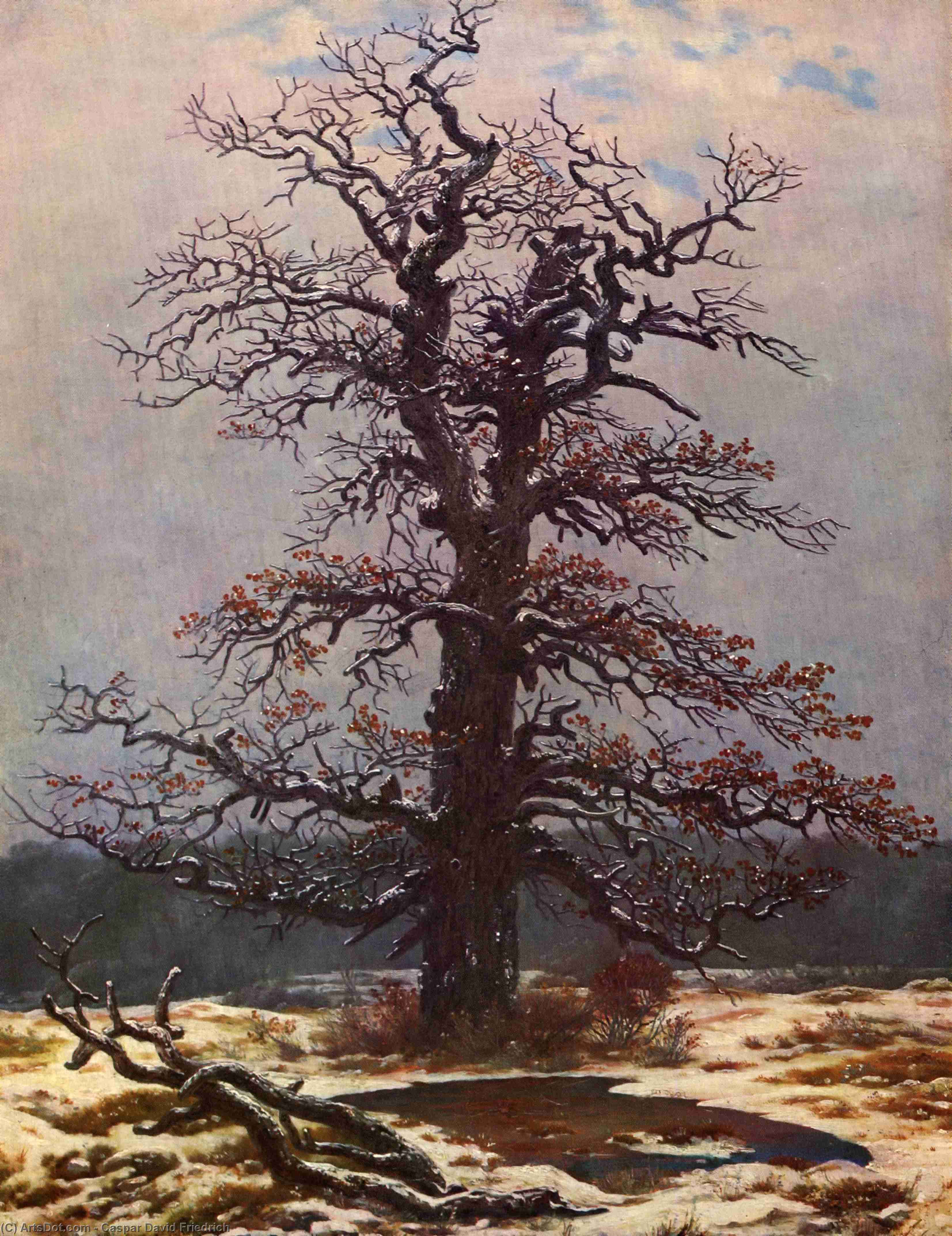 Wikoo.org - موسوعة الفنون الجميلة - اللوحة، العمل الفني Caspar David Friedrich - Oak tree in the snow