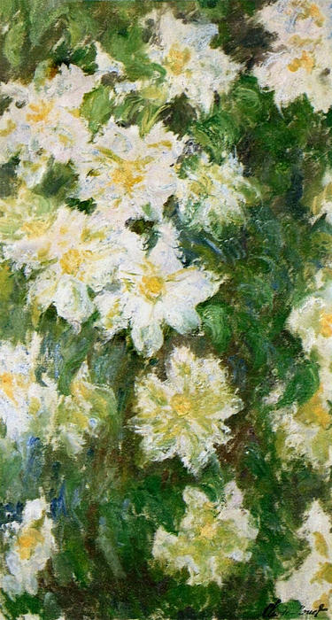 WikiOO.org - Encyclopedia of Fine Arts - Festés, Grafika Claude Monet - White Clematis