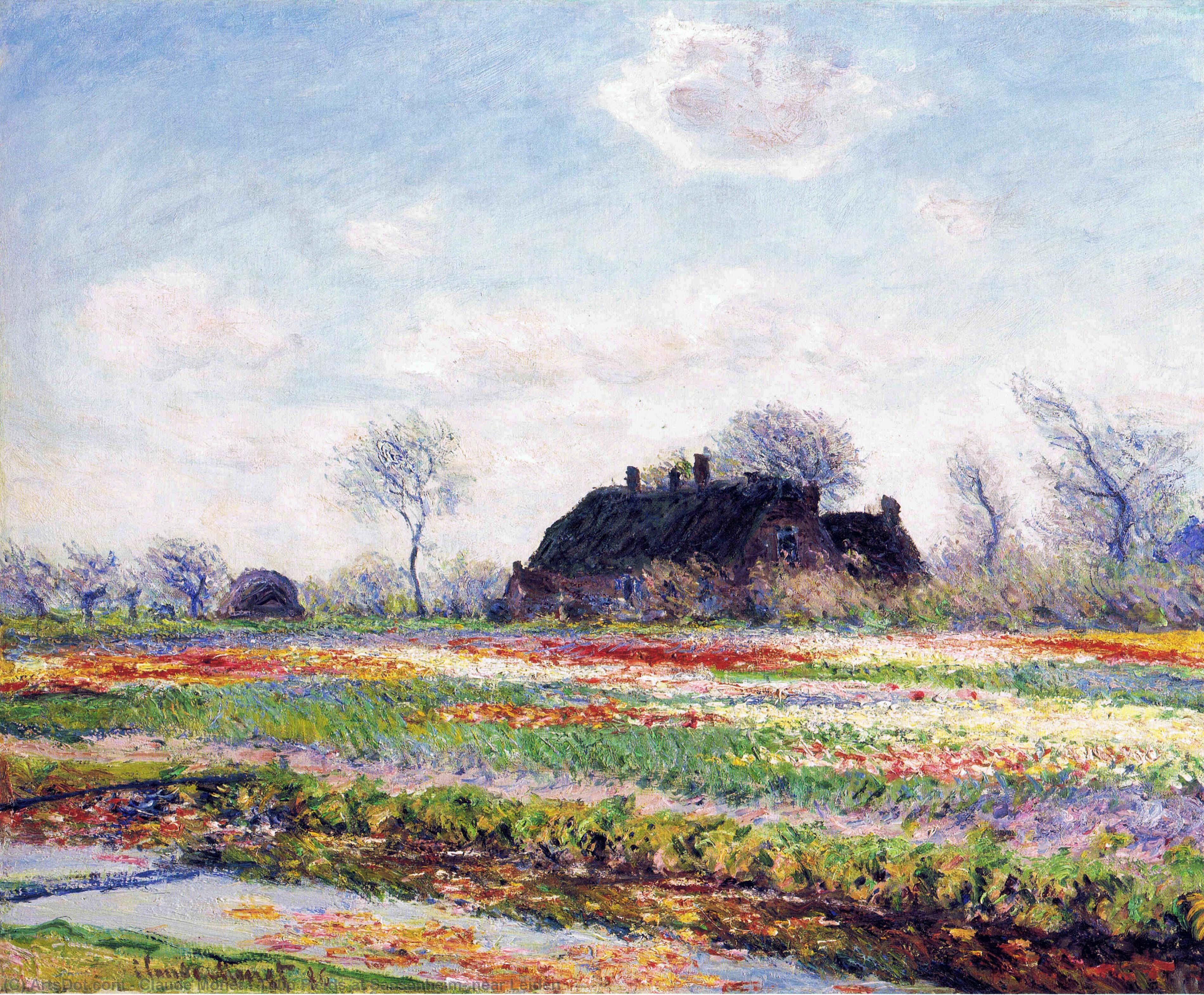 WikiOO.org – 美術百科全書 - 繪畫，作品 Claude Monet - 郁金香花田在萨森海姆，荷兰莱顿附近