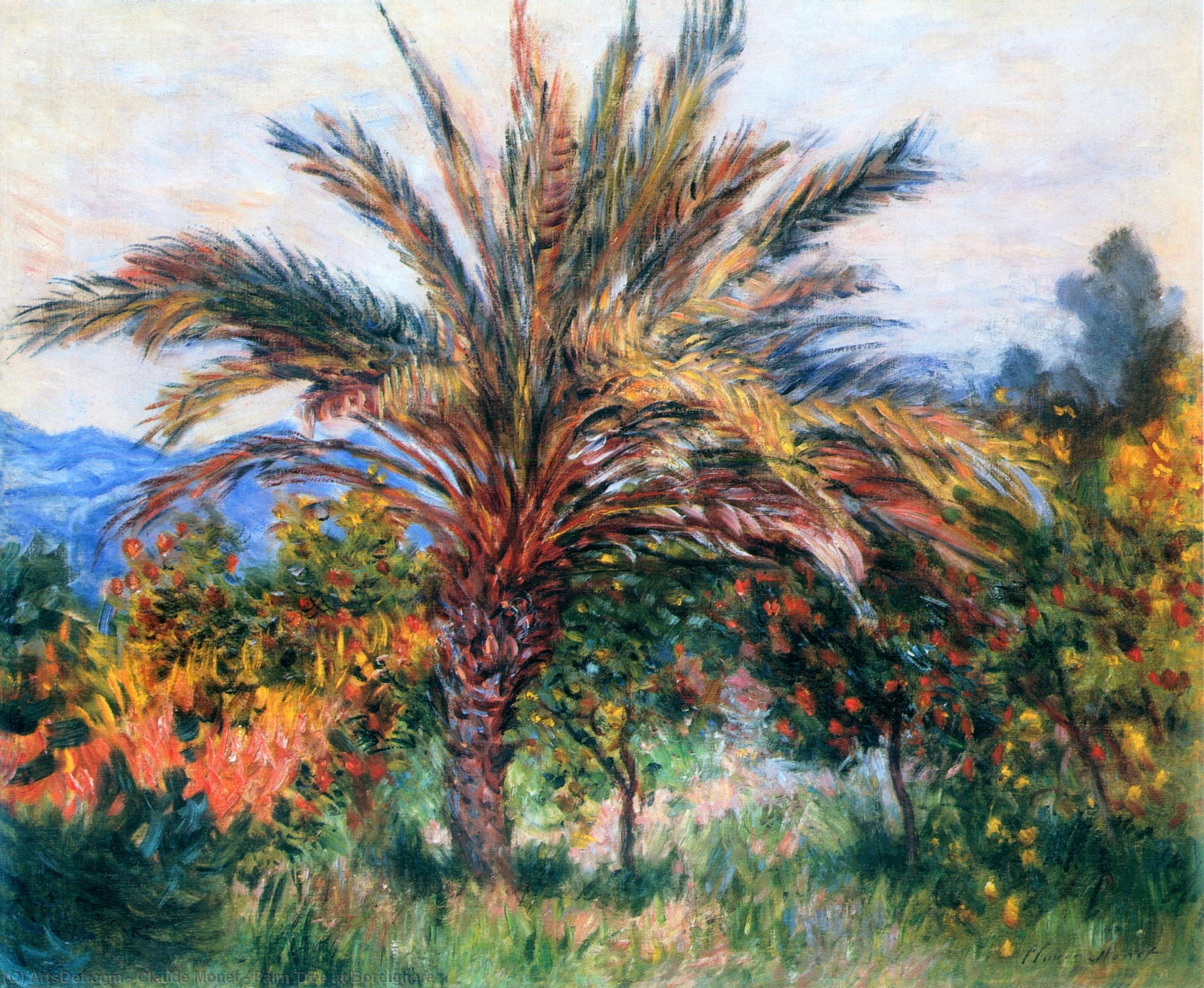 Wikioo.org - สารานุกรมวิจิตรศิลป์ - จิตรกรรม Claude Monet - Palm Tree at Bordighera