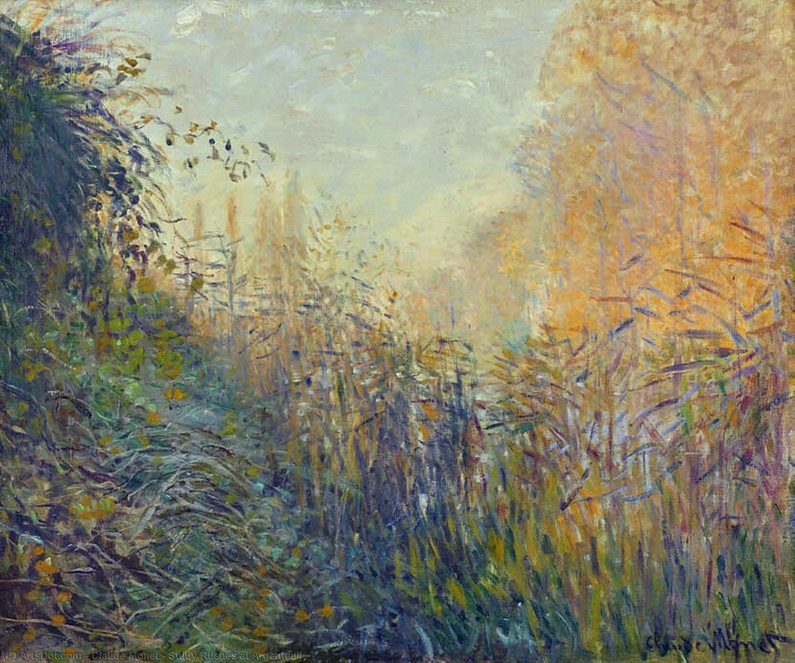 Wikioo.org - The Encyclopedia of Fine Arts - Painting, Artwork by Claude Monet - Study Rushes at Argenteuil
