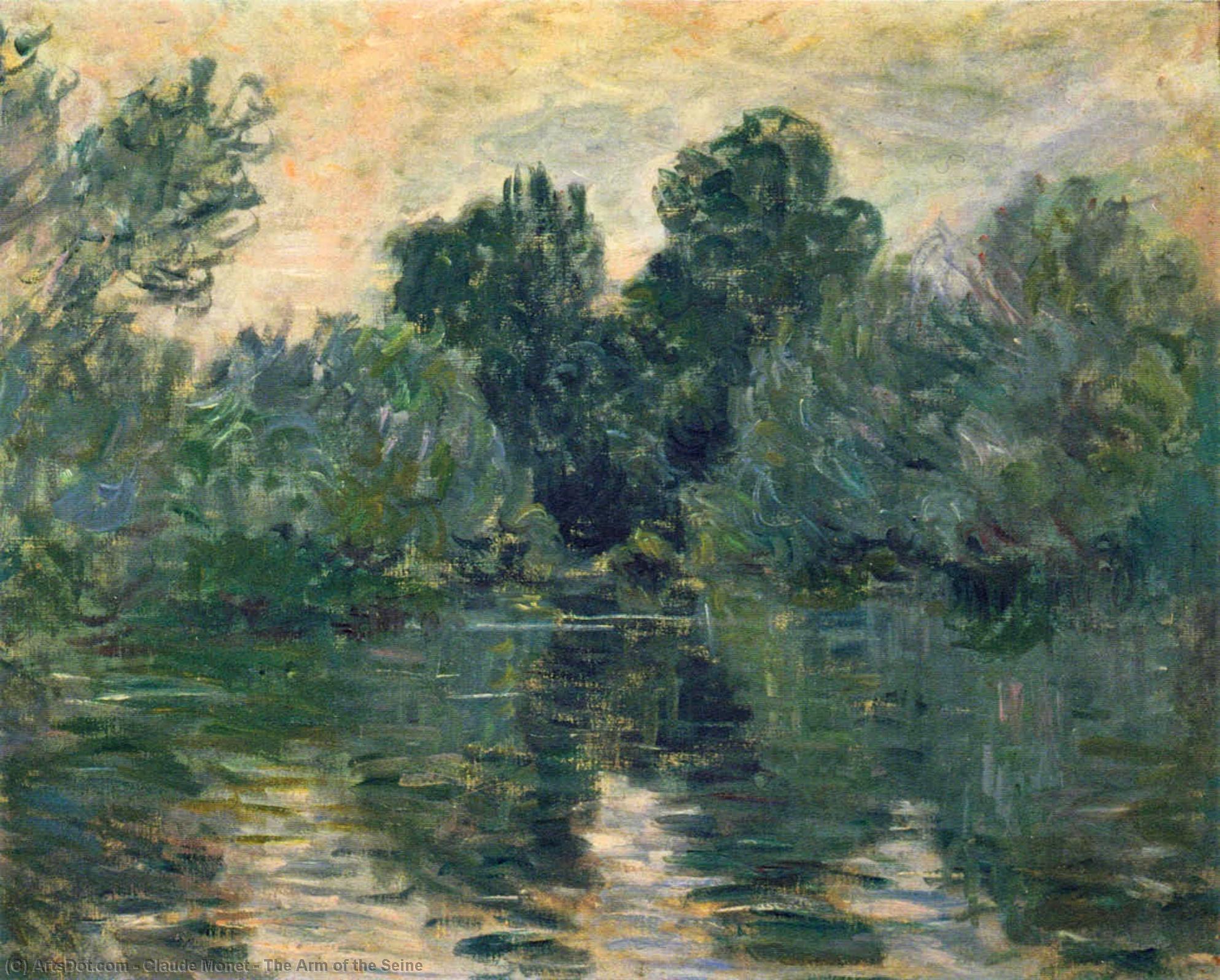 Wikioo.org - The Encyclopedia of Fine Arts - Painting, Artwork by Claude Monet - The Arm of the Seine