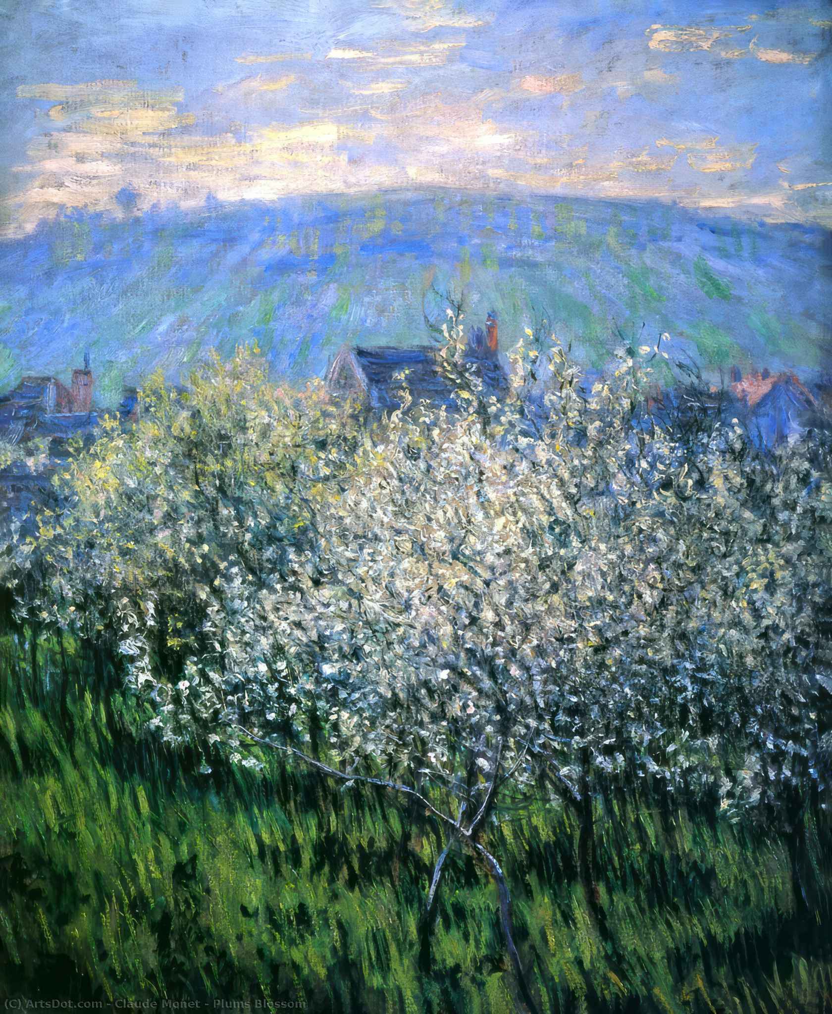 WikiOO.org - 백과 사전 - 회화, 삽화 Claude Monet - Plums Blossom