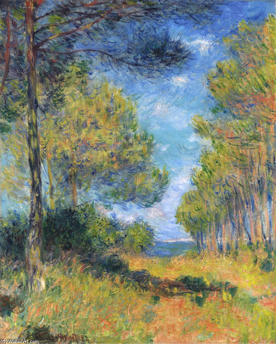 Wikioo.org - สารานุกรมวิจิตรศิลป์ - จิตรกรรม Claude Monet - Path at Varengeville