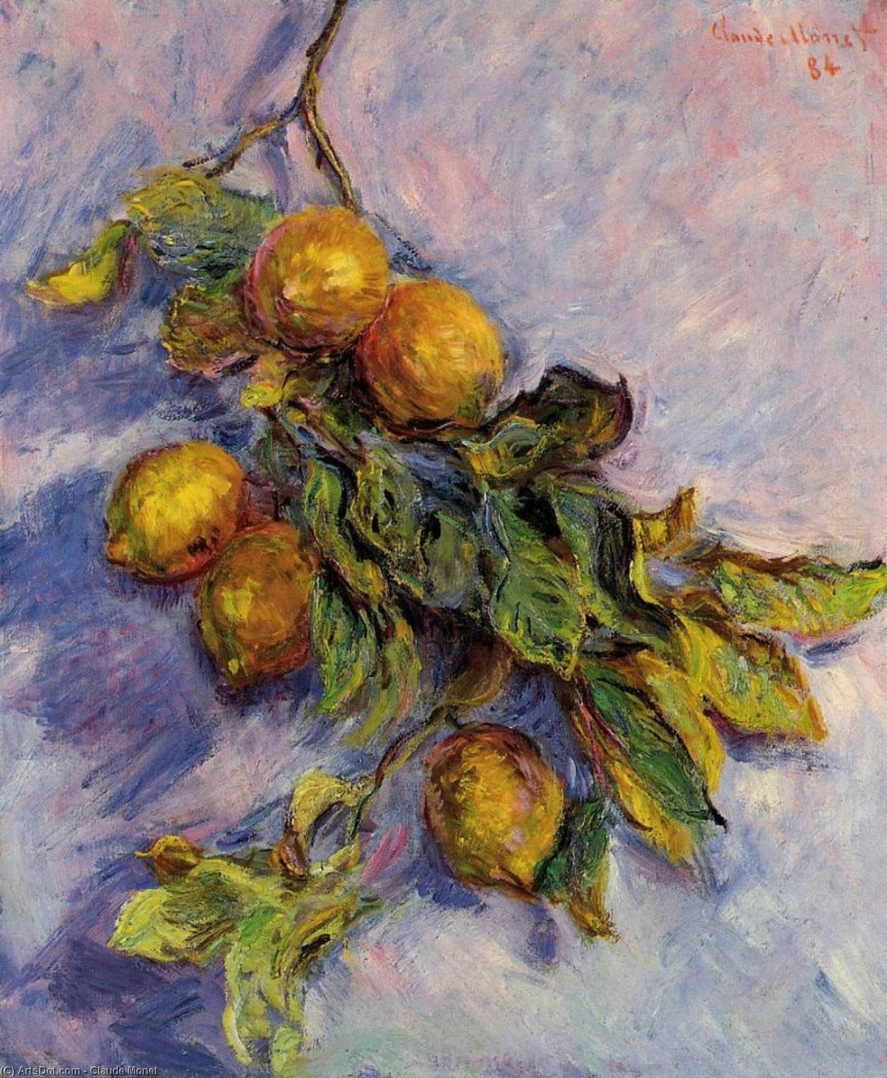 WikiOO.org - 백과 사전 - 회화, 삽화 Claude Monet - Branch of Lemons