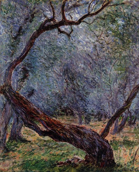 Wikioo.org - The Encyclopedia of Fine Arts - Painting, Artwork by Claude Monet - Olive Trees (Study)