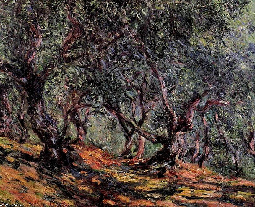Wikioo.org - สารานุกรมวิจิตรศิลป์ - จิตรกรรม Claude Monet - Olive Trees in Bordigher
