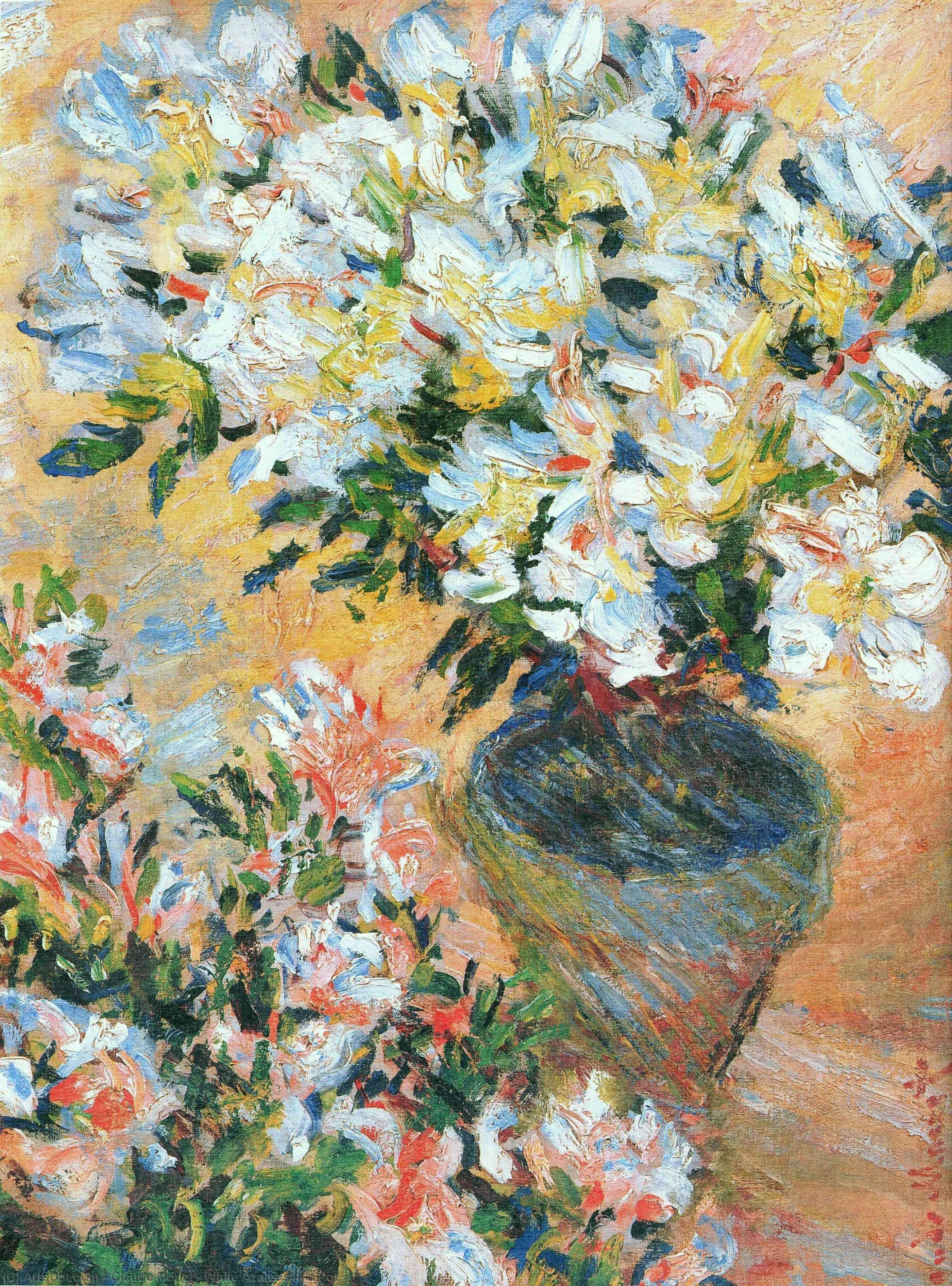 Wikioo.org - The Encyclopedia of Fine Arts - Painting, Artwork by Claude Monet - White Azaleas in a Pot