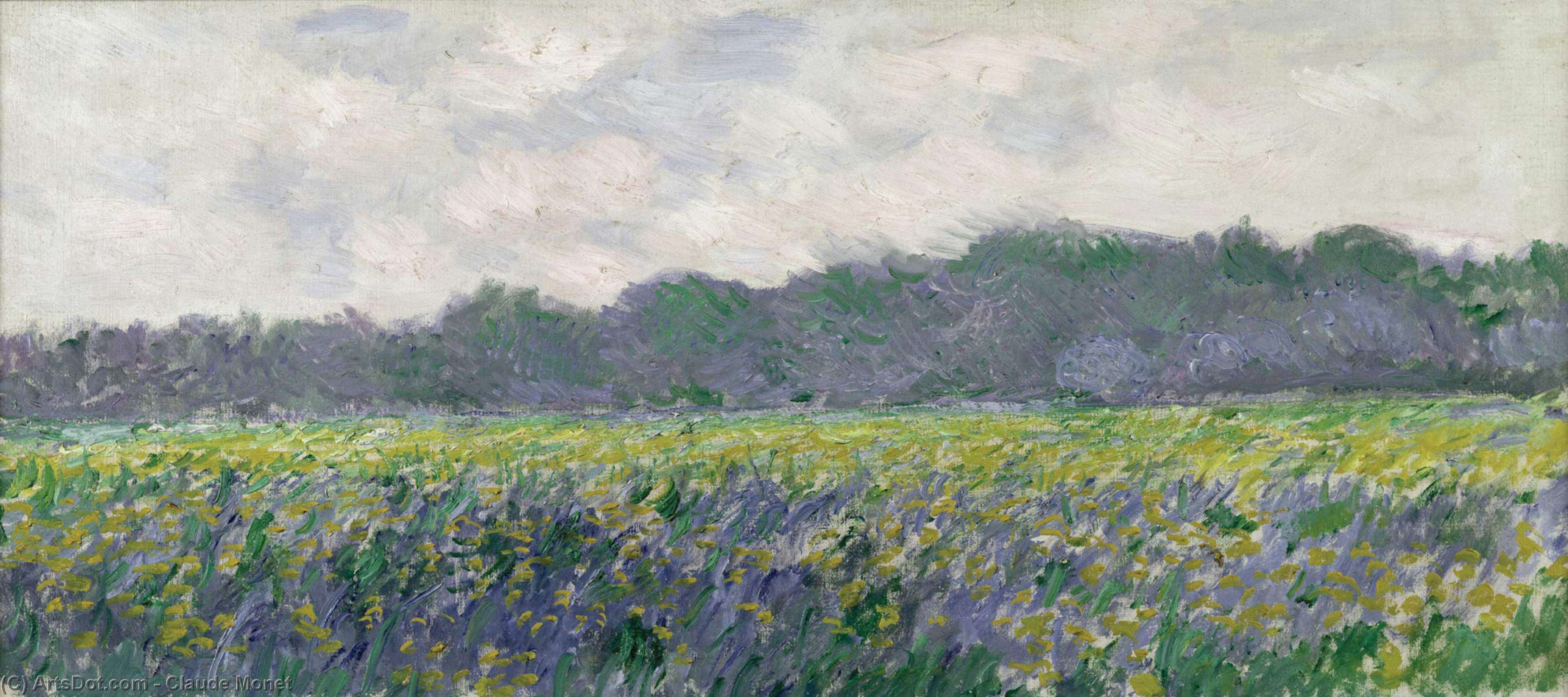 Wikioo.org - The Encyclopedia of Fine Arts - Painting, Artwork by Claude Monet - Field of Yellow Irises at Giverny