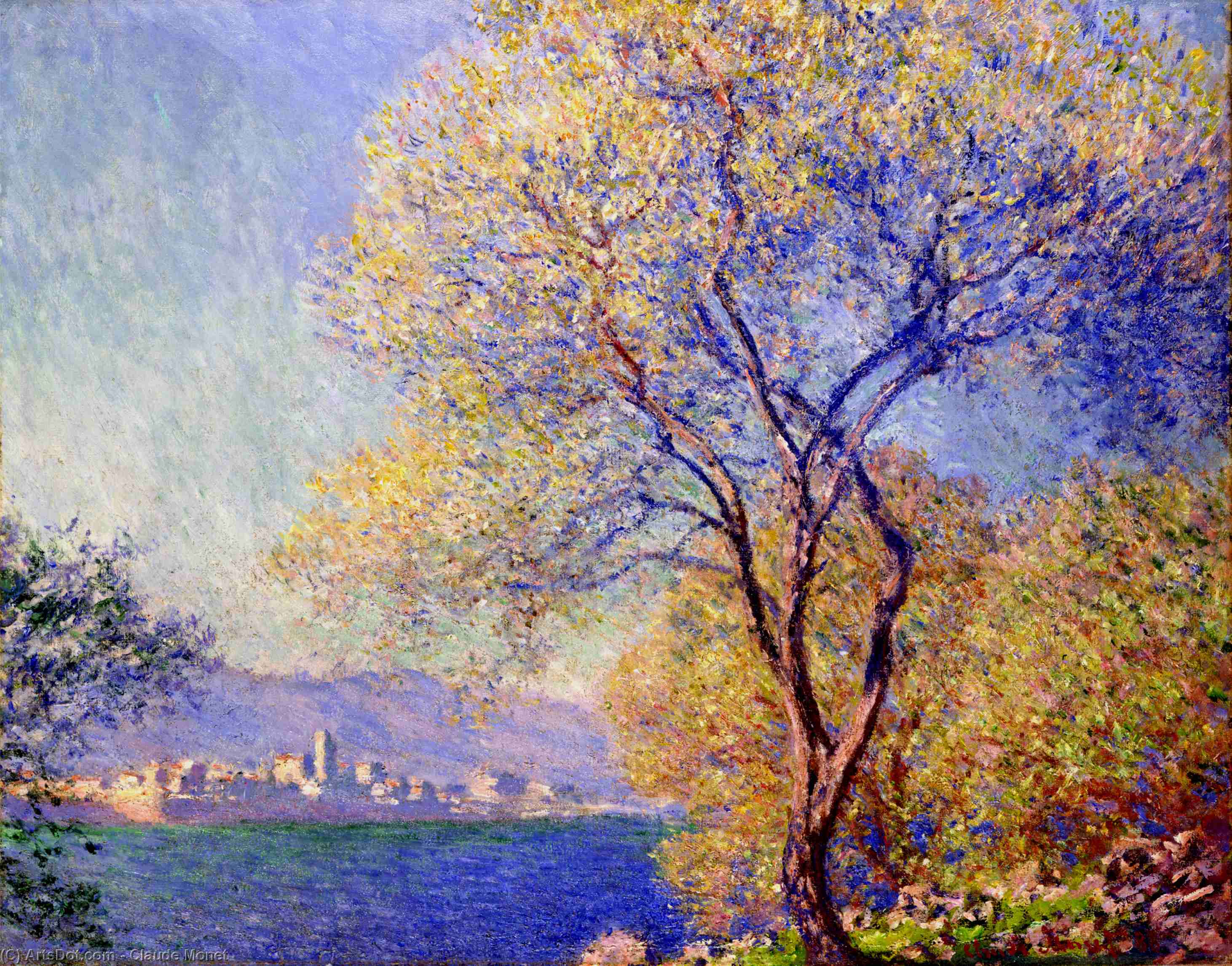 Wikioo.org - The Encyclopedia of Fine Arts - Painting, Artwork by Claude Monet - Antibes Seen from the Salis Gardens 01