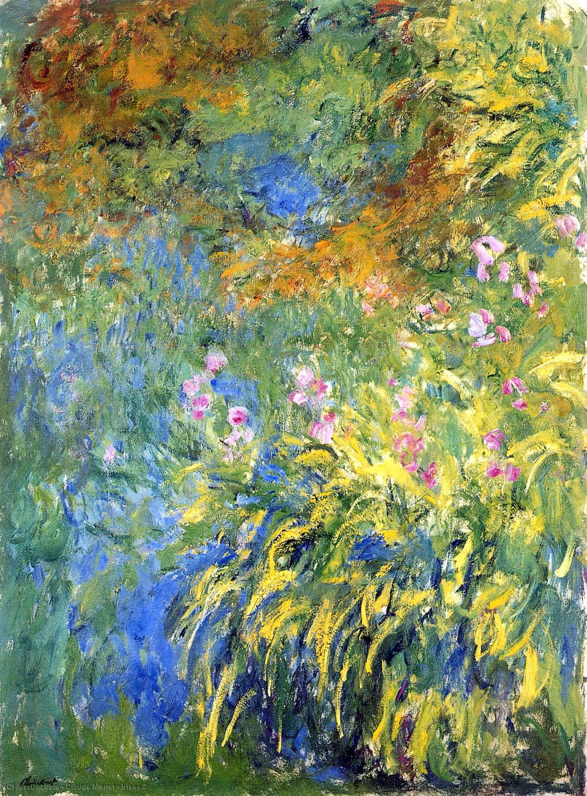 WikiOO.org - Encyclopedia of Fine Arts - Maleri, Artwork Claude Monet - Irises 3