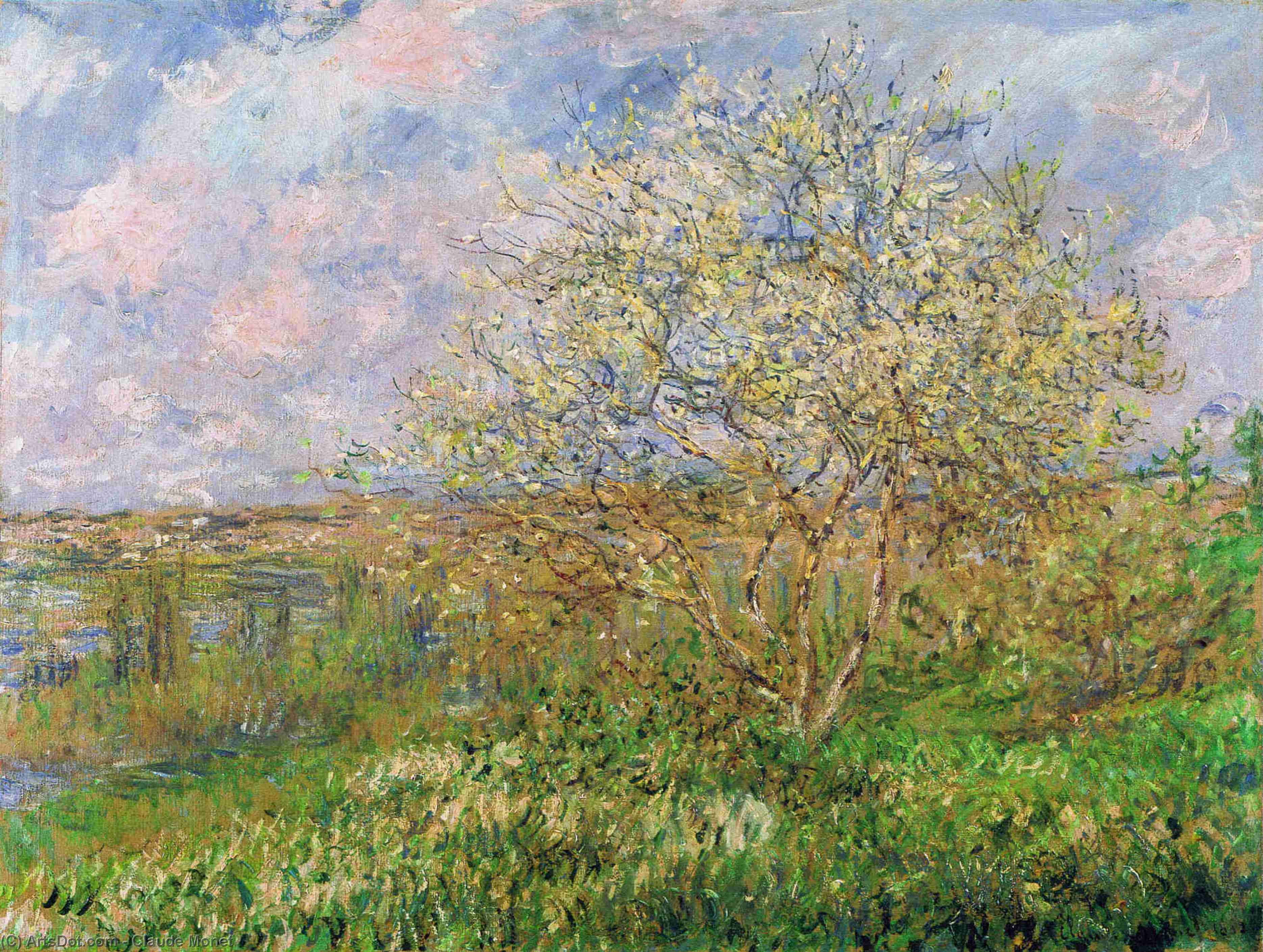 Wikioo.org – L'Enciclopedia delle Belle Arti - Pittura, Opere di Claude Monet - prato