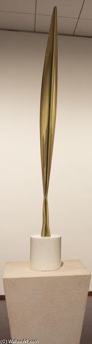 Wikioo.org - The Encyclopedia of Fine Arts - Painting, Artwork by Constantin Brancusi - Bird in Space