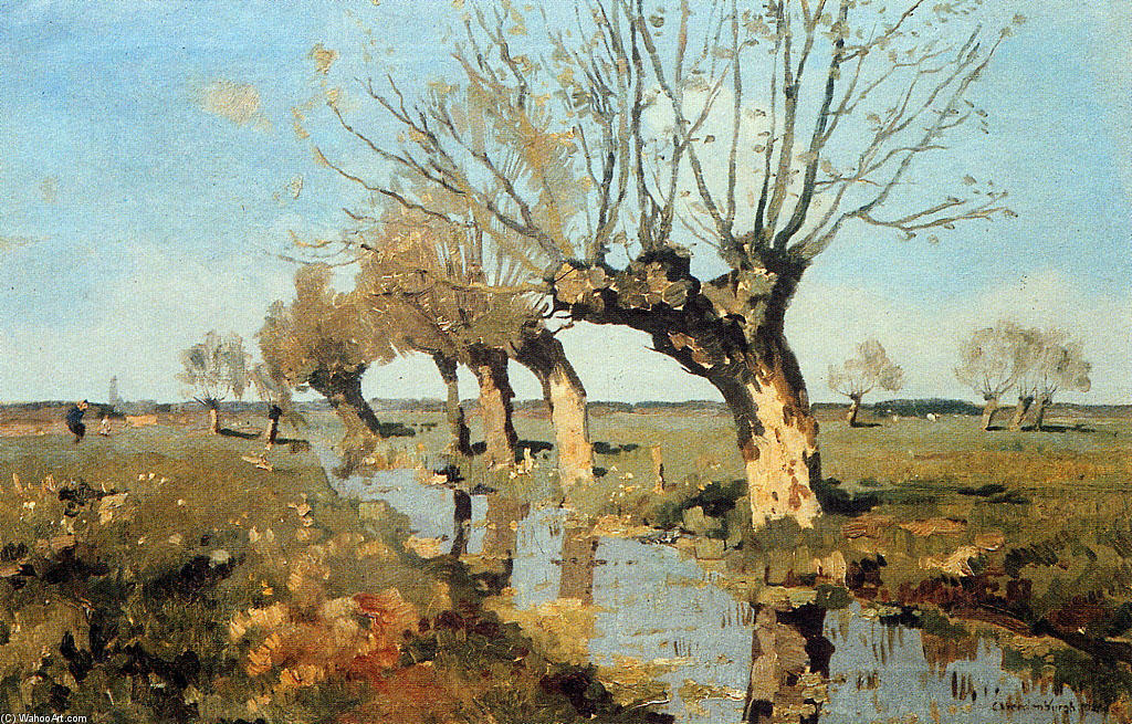 Wikioo.org - The Encyclopedia of Fine Arts - Painting, Artwork by Cornelis Vreedenburgh - Pollard Willow At The Side Of The Broo