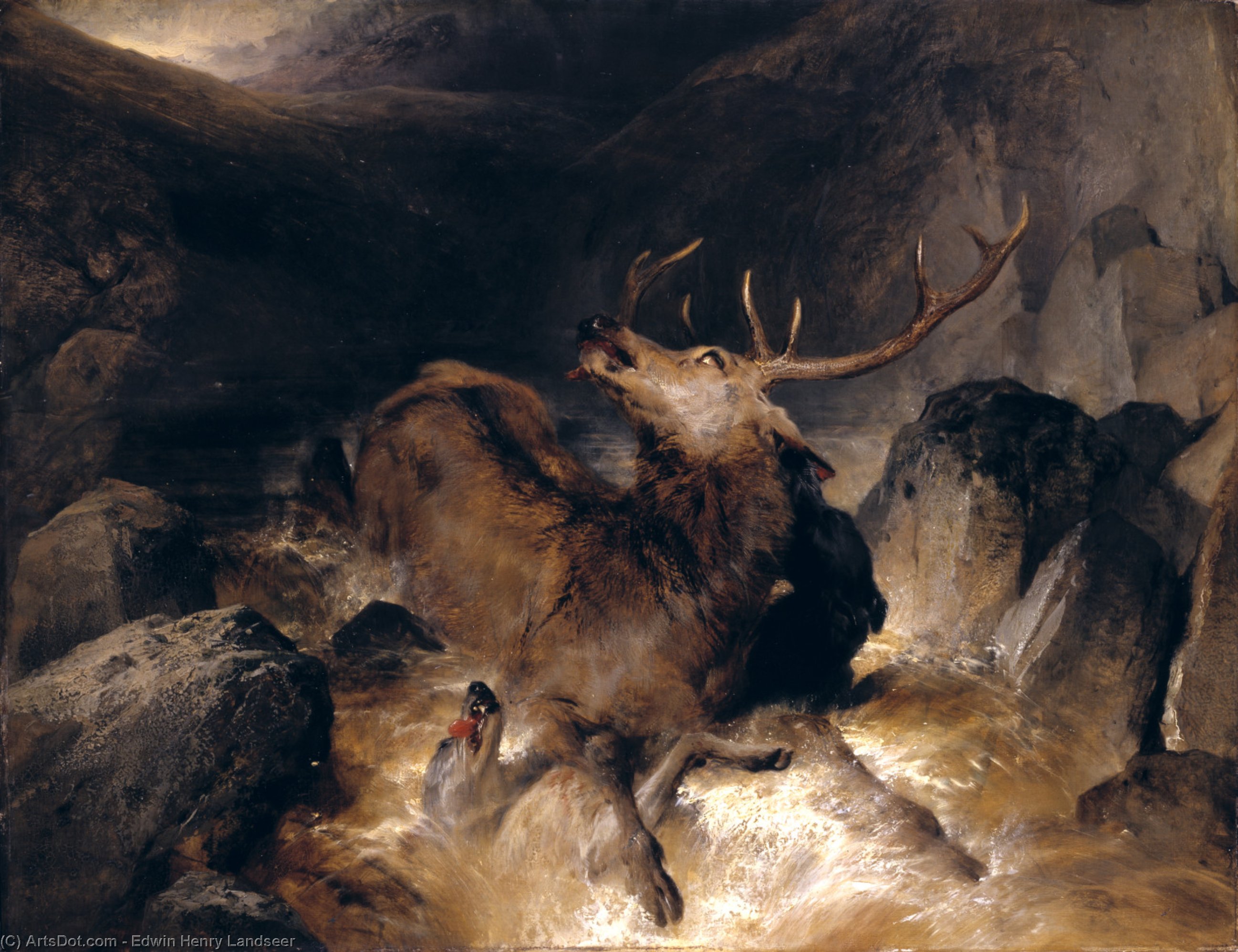 Wikioo.org - The Encyclopedia of Fine Arts - Painting, Artwork by Edwin Henry Landseer - Deer and Deer Hounds in a Mountain Torrent