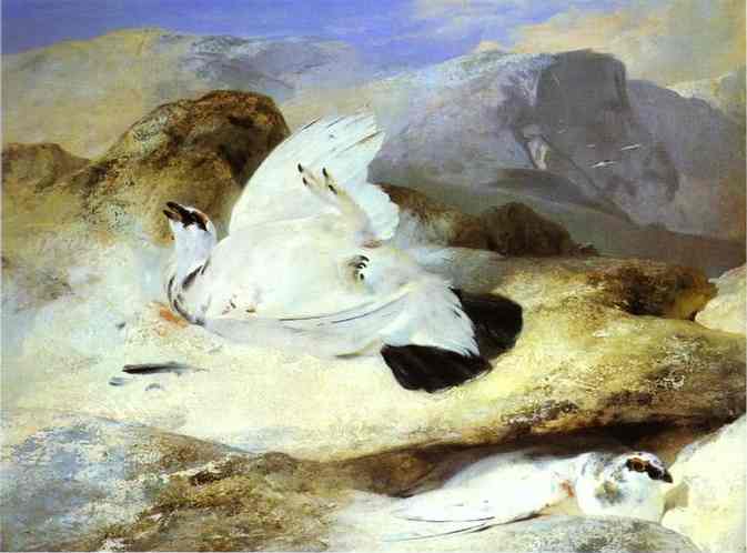 Wikioo.org – L'Enciclopedia delle Belle Arti - Pittura, Opere di Edwin Henry Landseer - Pernice bianca