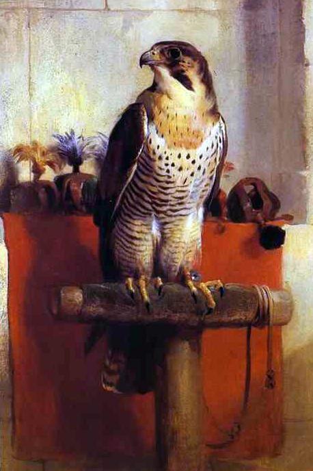 Wikioo.org - The Encyclopedia of Fine Arts - Painting, Artwork by Edwin Henry Landseer - The Falcon