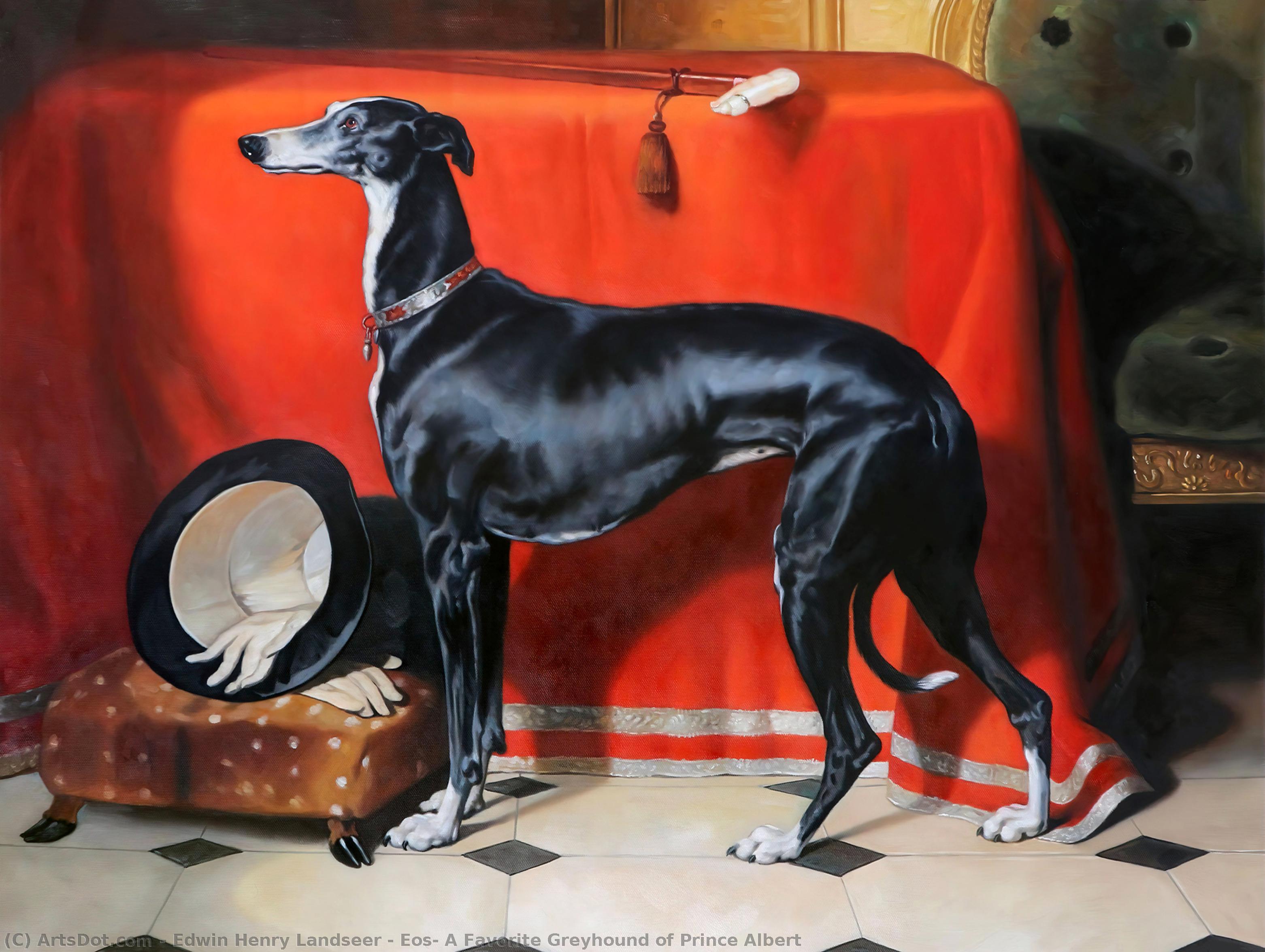 Wikioo.org - The Encyclopedia of Fine Arts - Painting, Artwork by Edwin Henry Landseer - Eos, A Favorite Greyhound of Prince Albert