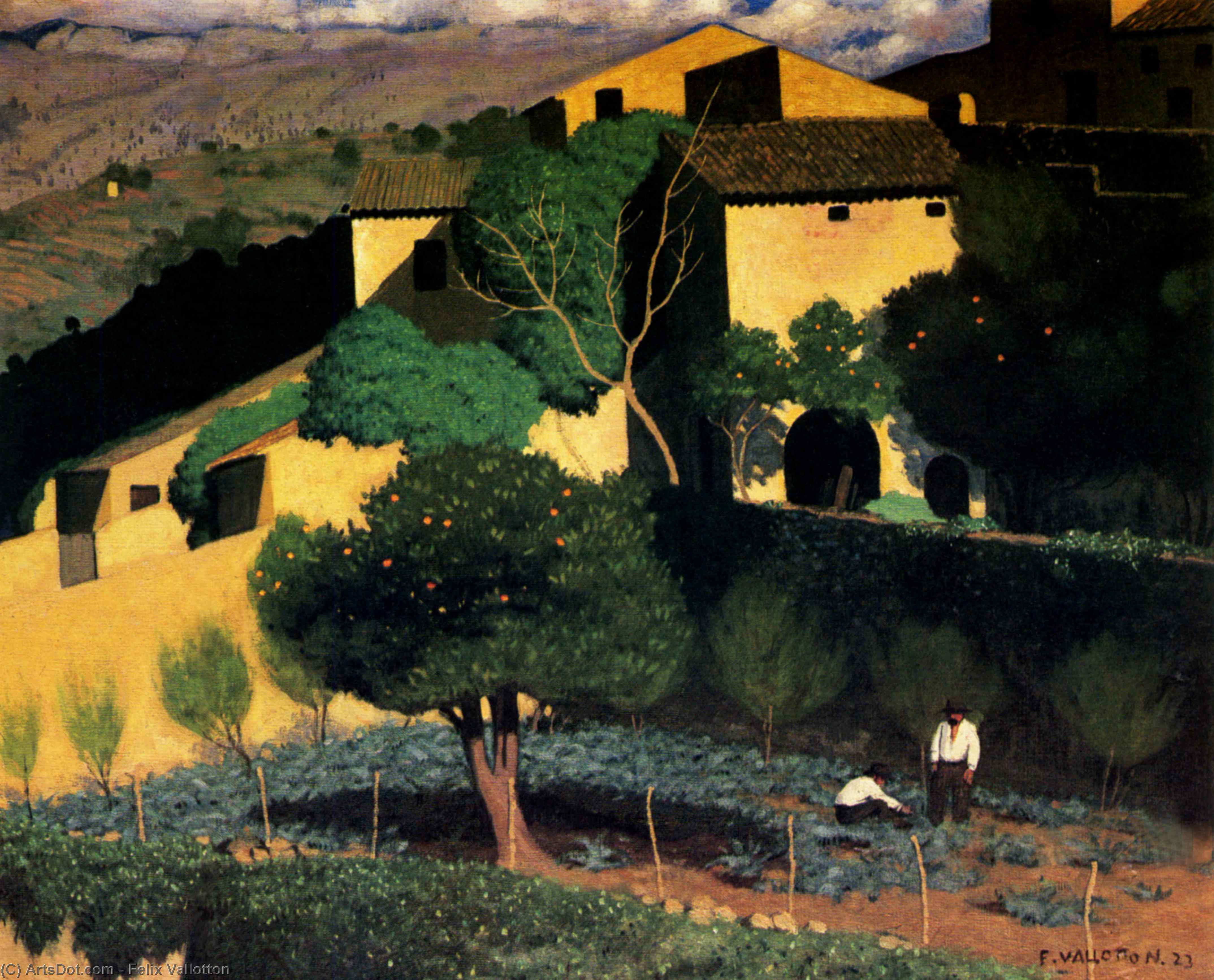 Wikioo.org - The Encyclopedia of Fine Arts - Painting, Artwork by Felix Vallotton - Landscape in Cagnes