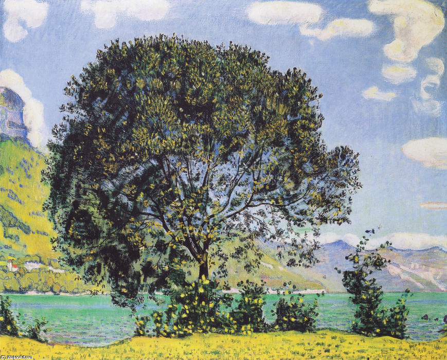 Wikioo.org - The Encyclopedia of Fine Arts - Painting, Artwork by Ferdinand Hodler - A View of Lake Brienz from Bodeli