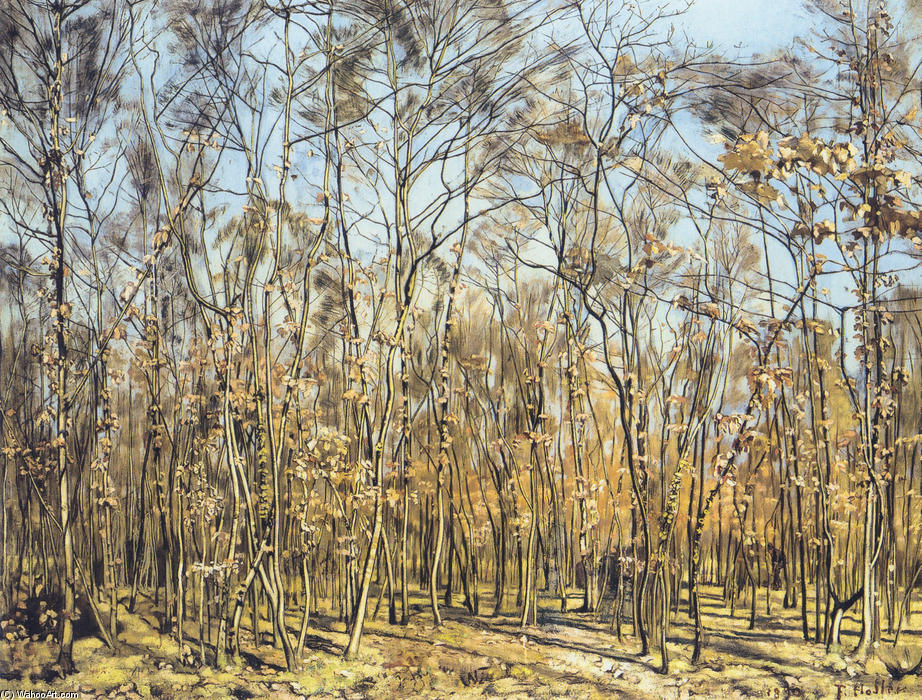 Wikioo.org - The Encyclopedia of Fine Arts - Painting, Artwork by Ferdinand Hodler - The Beech Forest