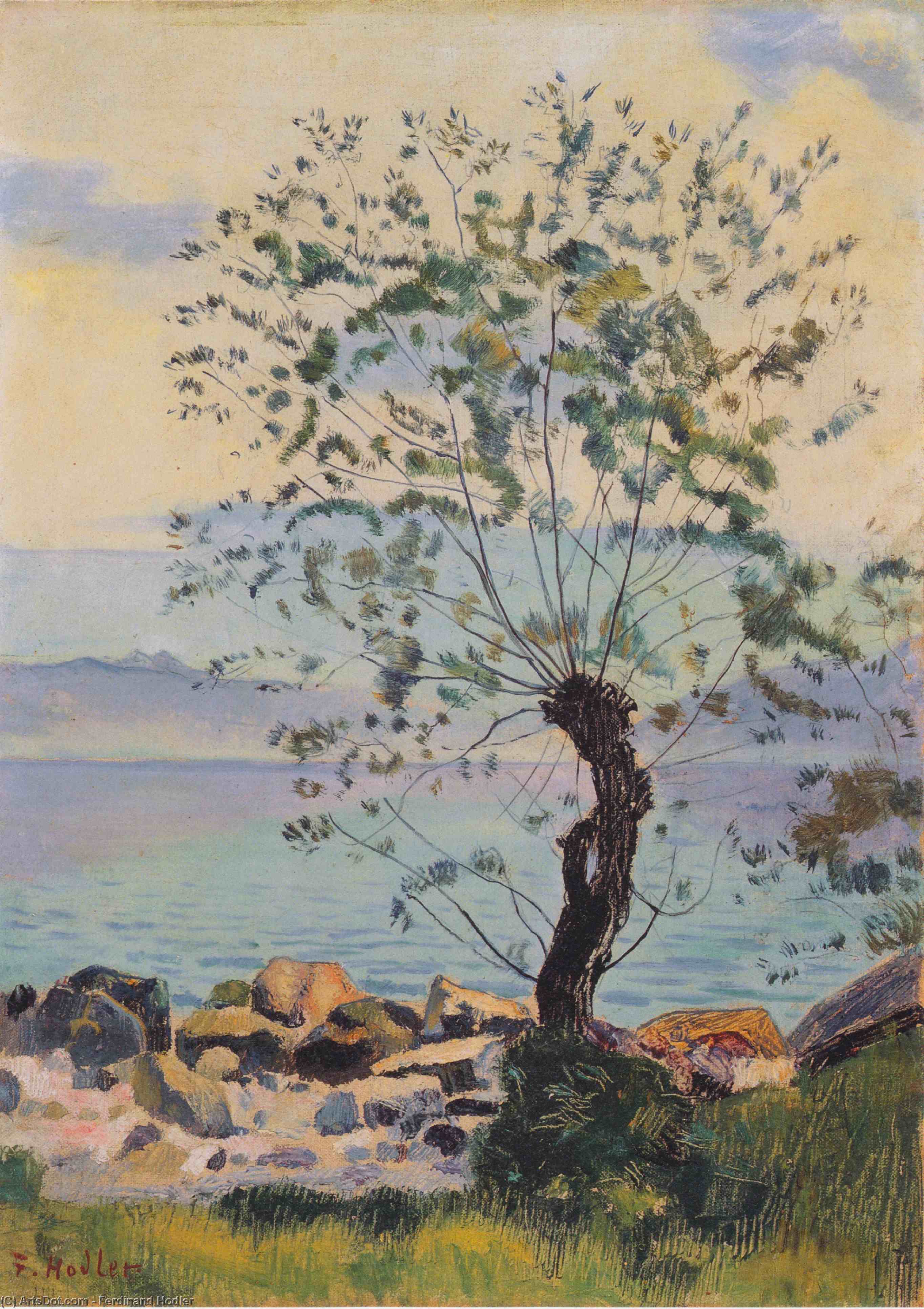 Wikioo.org - The Encyclopedia of Fine Arts - Painting, Artwork by Ferdinand Hodler - Willow tree by the lake