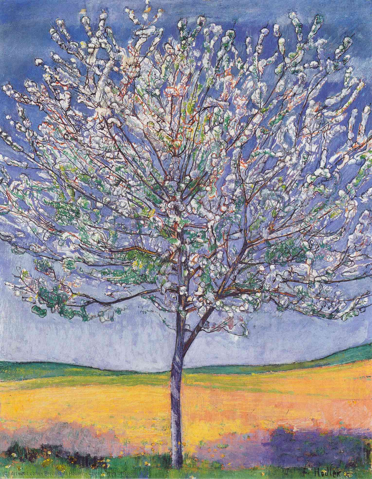 WikiOO.org - Encyclopedia of Fine Arts - Festés, Grafika Ferdinand Hodler - Cherry Tree in Bloom