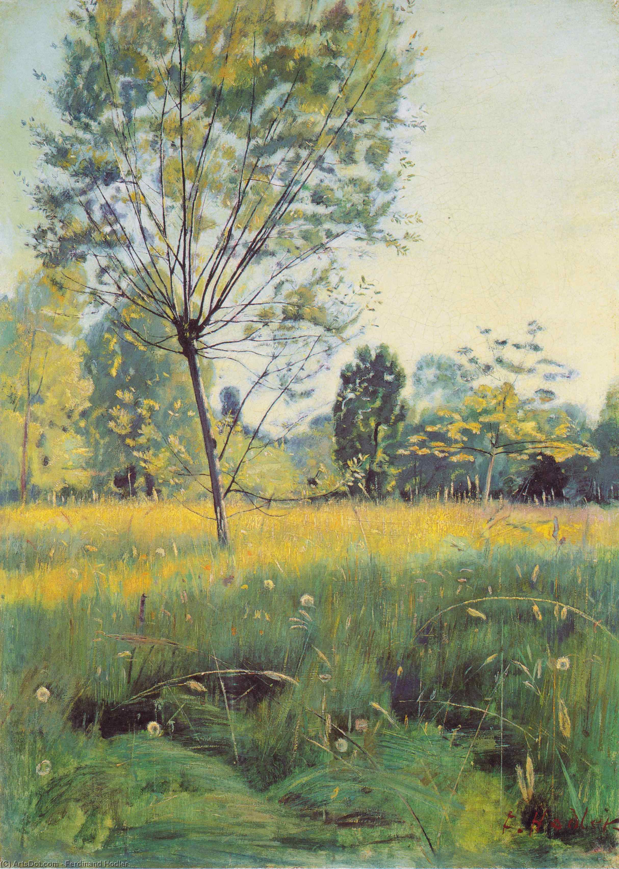 WikiOO.org - Encyclopedia of Fine Arts - Maľba, Artwork Ferdinand Hodler - The Golden meadow