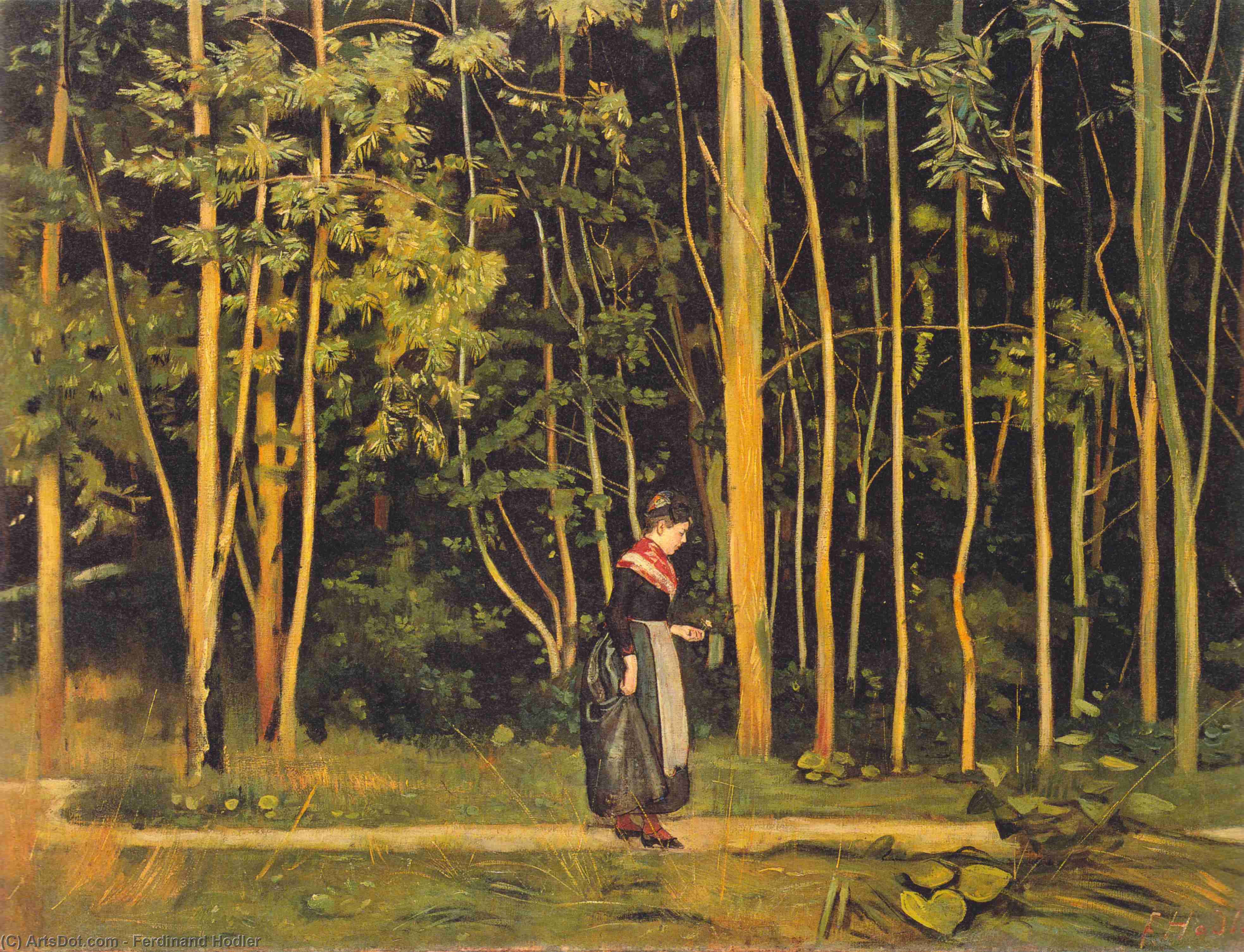 Wikioo.org - สารานุกรมวิจิตรศิลป์ - จิตรกรรม Ferdinand Hodler - Walking at the forest edge