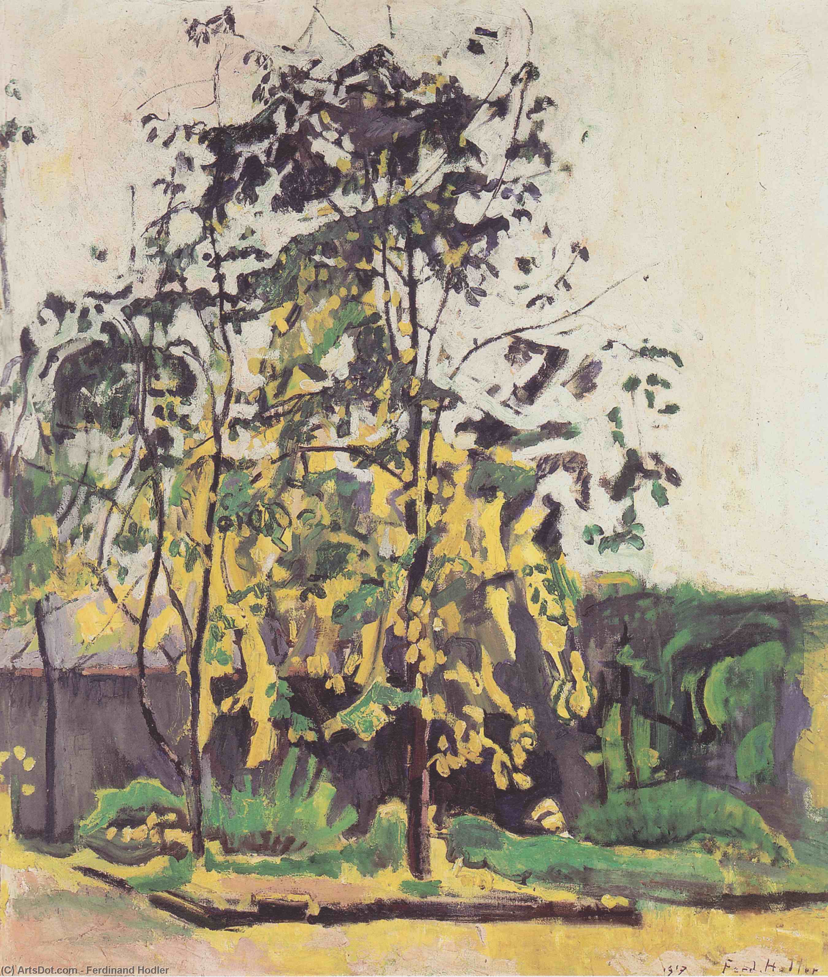 WikiOO.org - 百科事典 - 絵画、アートワーク Ferdinand Hodler - ワークショップの庭の木
