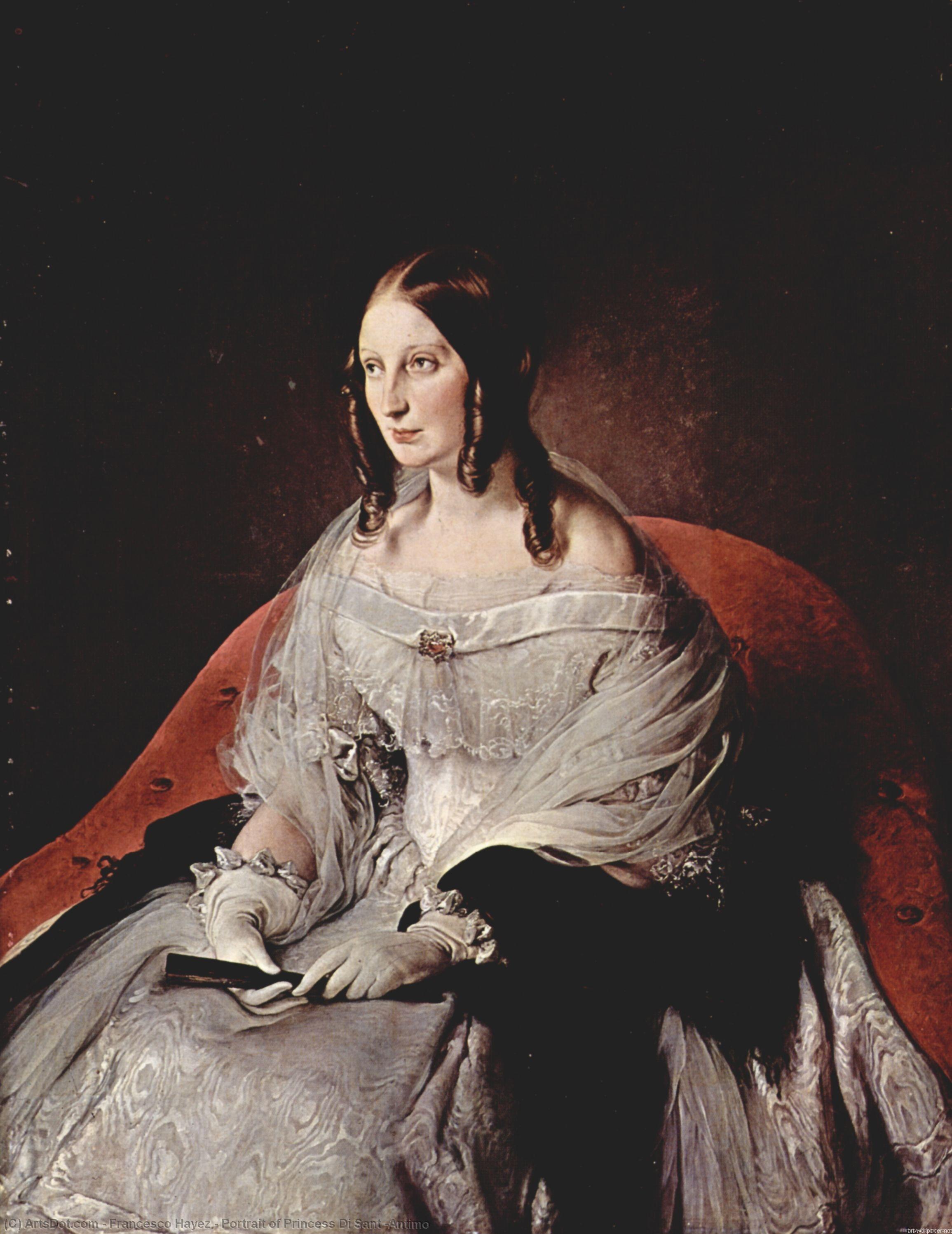 Wikioo.org - The Encyclopedia of Fine Arts - Painting, Artwork by Francesco Hayez - Portrait of Princess Di Sant 'Antimo
