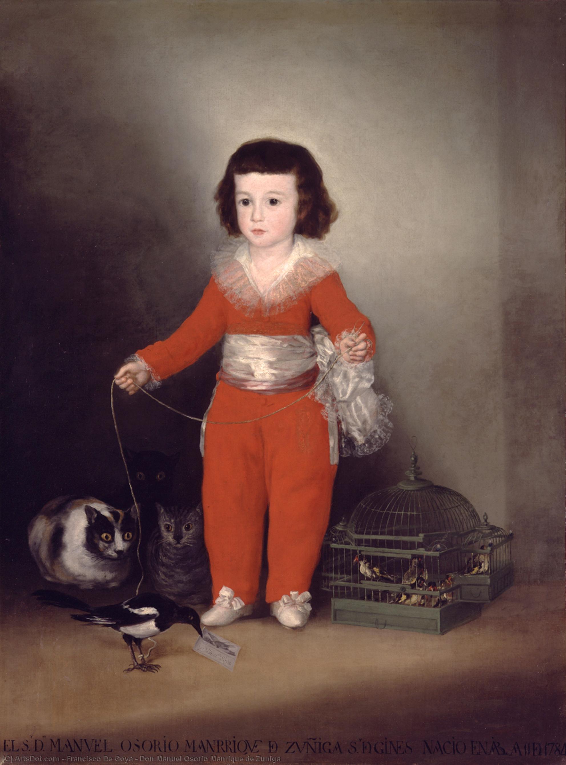 WikiOO.org - Encyclopedia of Fine Arts - Maalaus, taideteos Francisco De Goya - Don Manuel Osorio Manrique de Zuniga