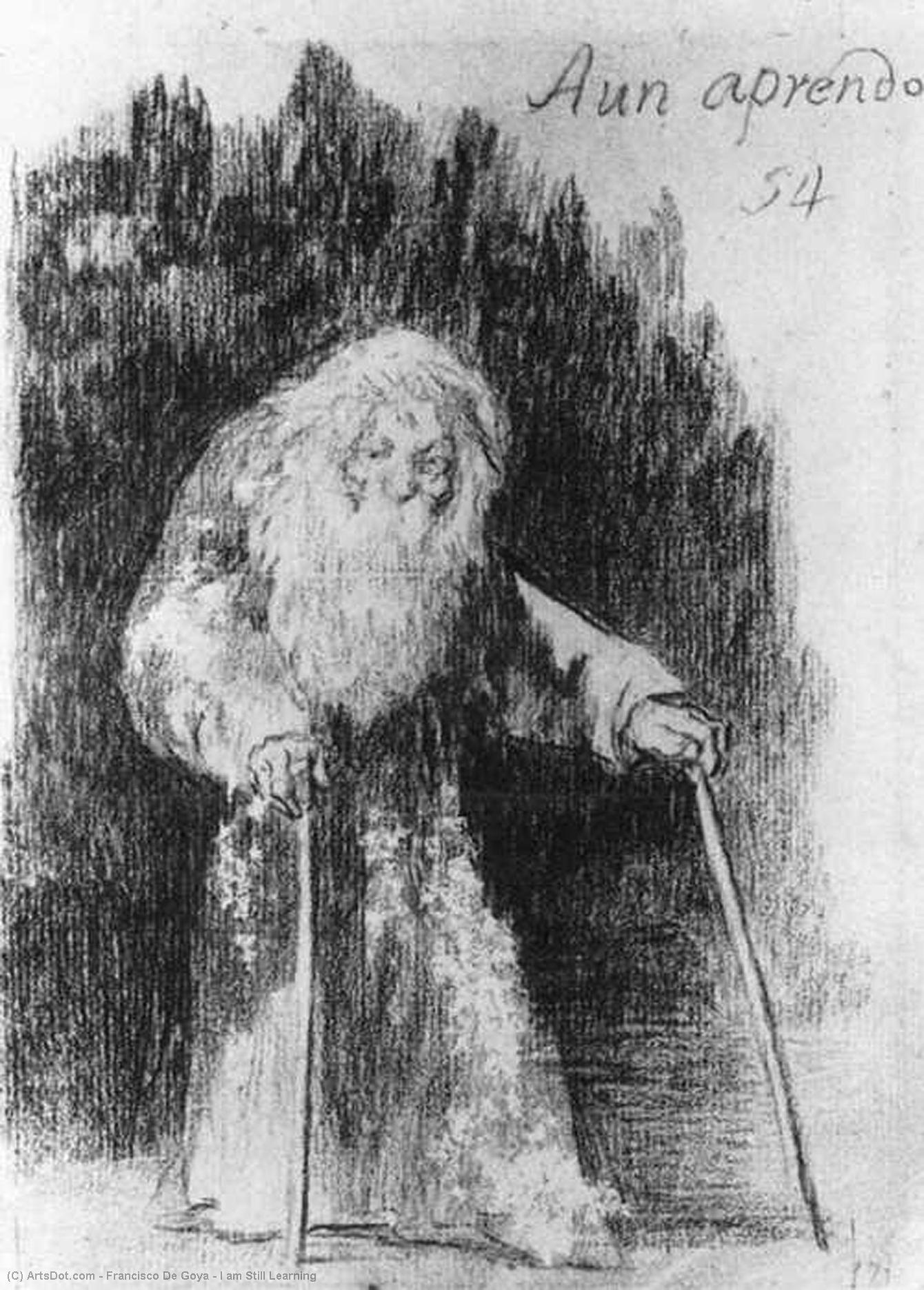 WikiOO.org - Güzel Sanatlar Ansiklopedisi - Resim, Resimler Francisco De Goya - I am Still Learning
