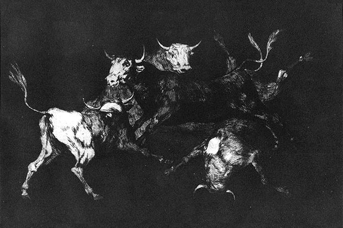 WikiOO.org - 百科事典 - 絵画、アートワーク Francisco De Goya - 愚か者の愚かさ