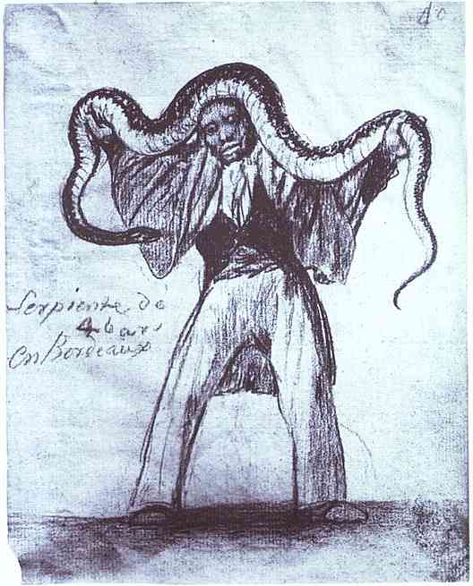 WikiOO.org - Encyclopedia of Fine Arts - Schilderen, Artwork Francisco De Goya - Four Yard Long Snake in Bordeaux