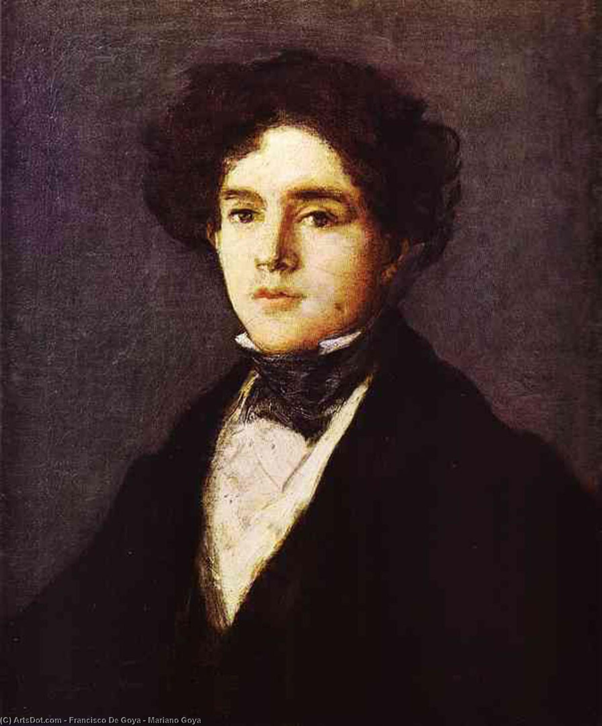 Wikioo.org - The Encyclopedia of Fine Arts - Painting, Artwork by Francisco De Goya - Mariano Goya