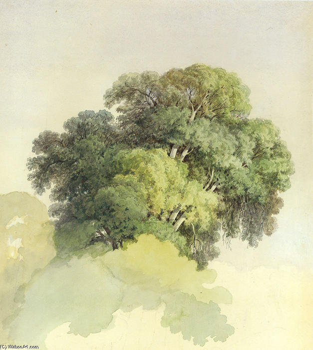 WikiOO.org - Encyclopedia of Fine Arts - Lukisan, Artwork Fyodor Alexandrovich Vasilyev - The Crowns of the Trees