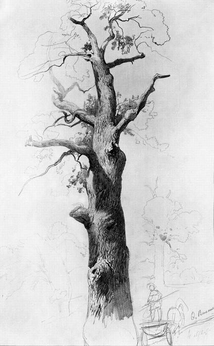 Wikioo.org - The Encyclopedia of Fine Arts - Painting, Artwork by Fyodor Alexandrovich Vasilyev - The Trunk of an Old Oak