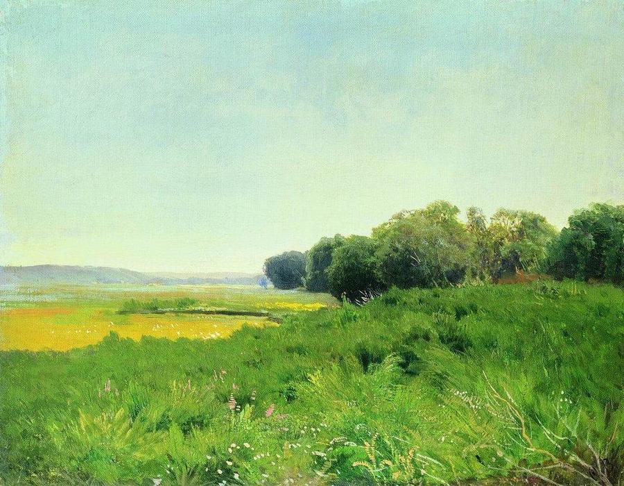 Wikioo.org - The Encyclopedia of Fine Arts - Painting, Artwork by Fyodor Alexandrovich Vasilyev - Wet Meadow 1. Study